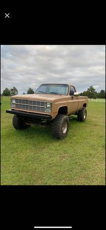 1984 Chevy K20 Mud Truck for Sale - (FL)